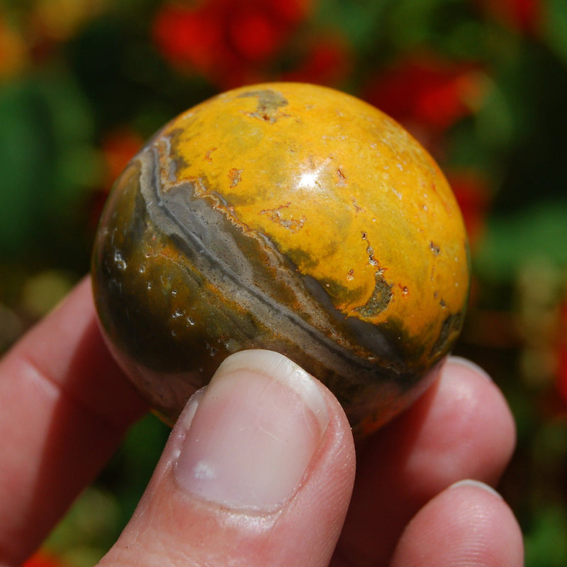 Bumble Bee Jasper Sphere