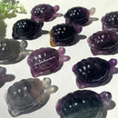 Fluorite Turtle