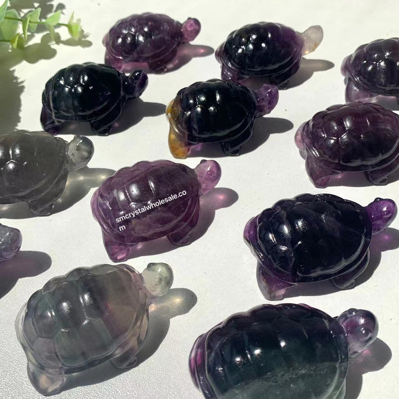 Fluorite Turtle