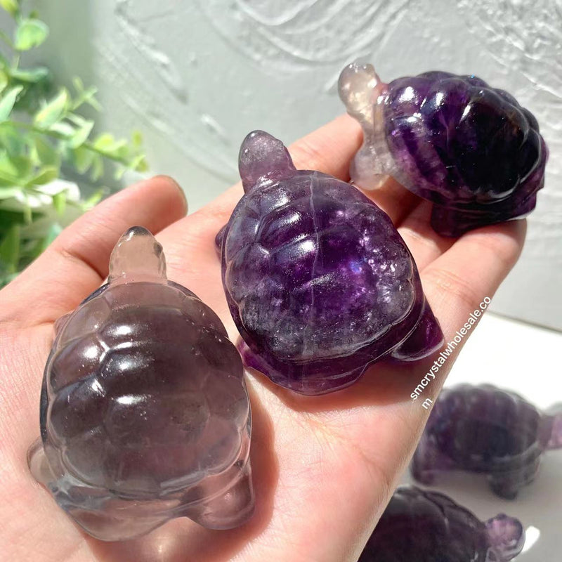 Fluorite Turtle