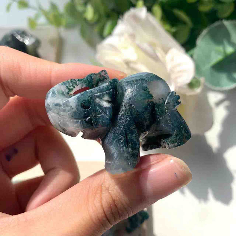 Elephant 1.5 inch